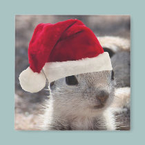 Santa Squirrel Magnet