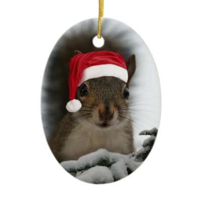 Santa Squirrel Christmas Tree Ornaments