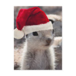 Santa Squirrel Postcard