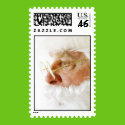 Santa Stamp