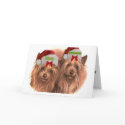 Santa Terrier Greeting Cards