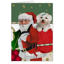 Santa With Maltese in his bag Christmas Cards