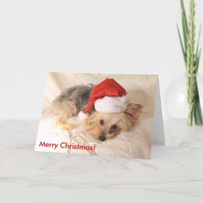 Santa Yorkie Card