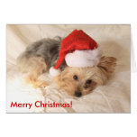 Santa Yorkie Card