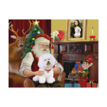 Santa's Bichon Frise (#1) Post Cards