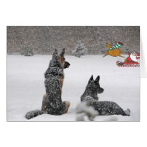 Santa's Coming Greeting Cards