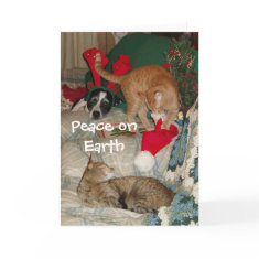 Santa's Hat card