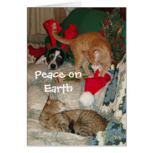 Santa's Hat Greeting Card