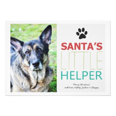 Santa&#39;s Helper- Pet Photo Holiday Flat Cards