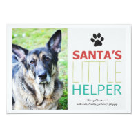 Santa's Helper- Pet Photo Holiday Flat Cards