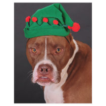 Santa's little helper letterhead