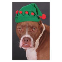Santa's little helper stationery