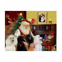 Santa's Poodles (St+T) t-shirts