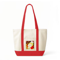 SANTAS SACK bags