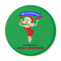 SANTA'S SEXY CHRISTMAS magnets