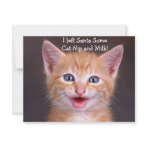Santa's Snack- Designer Invitation