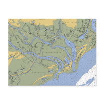 Santee swamp, SC Nautical Chart Postcard