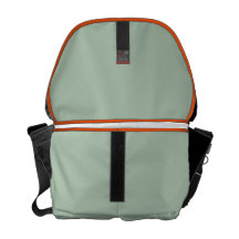 Santiago Bolsa De Mensajería