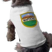 Santiago , Chile pet clothing