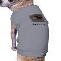 santo after bath, The Great Life! pet clothing by ldubinski santo after bath, The Great Life! pet clothing
