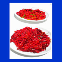 Santorini Chili Greece postcards