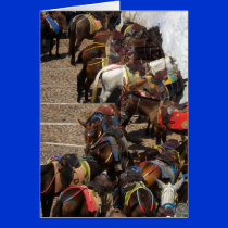 Santorini Fira island Greece cards