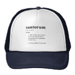Santorum Definition - Trucker Hats