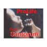 Santorum ProLife Post Card
