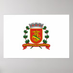 Santos Saopaulo Brasil, Brazil flag Poster