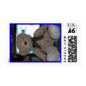 SANY0021, 2, 25, 50, 64 postage by tizztheclockisticin SANY0021, 2, 25, 50, 64 postage