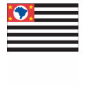 Sao Paulo Flag T-shirt