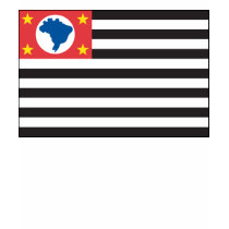 Sao Paulo Flag T-shirt