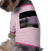 Saome Rain Drops In The Morning pet clothing by lifesphere Saome Rain Drops In The Morning pet clothing