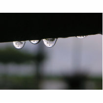 Saome Rain Drops In The Morning photo sculptures by lifesphere Saome Rain Drops In The Morning photo sculptures
