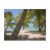 ocean, holliday, palm, tree, sand, vacation,