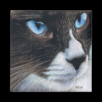 Sapphire Eyes Magnet magnets