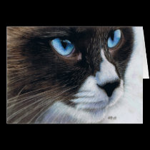 SapphireEyes cards
