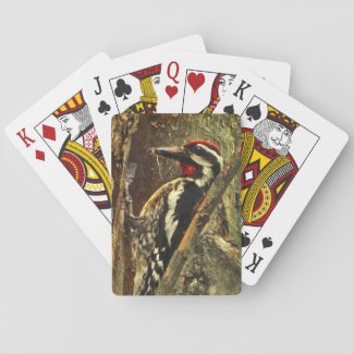 Sapsucker Woodpecker Bird Playing Cards