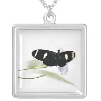 photo charm necklace of black butterfly