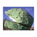 Sara Perkins Frog Rock postcards