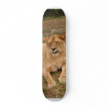 sarabi-nap-006 custom skateboard