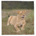 sarabi-nap-009 napkin