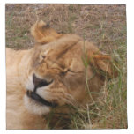 sarabi-nap-016 napkin