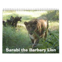sarabi-set-1-001, Sarabi the Barbary Lion calendars by BCRcats sarabi-set-1-001, Sarabi the Barbary Lion calendars