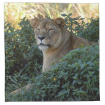 sarabi-set-1-003 cloth napkin