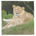 sarabi-set-1-010 napkins