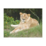 sarabi-set-1-010 post cards
