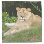 sarabi-set-1-011 cloth napkin