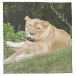 sarabi-set-1-012 cloth napkin