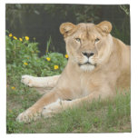 sarabi-set-1-014 printed napkin 
